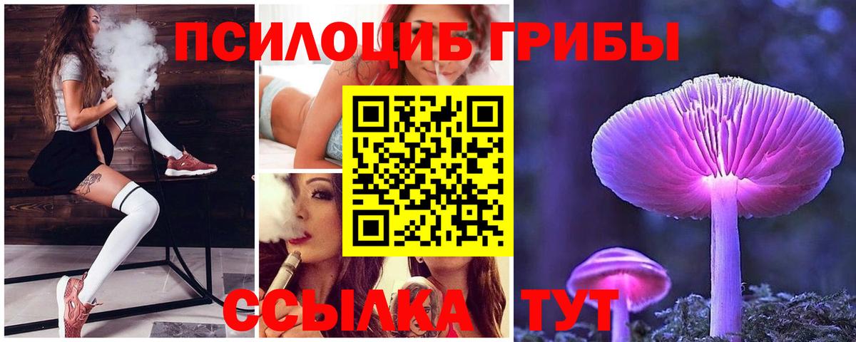 Галлюциногенные грибы Cubensis Назарово